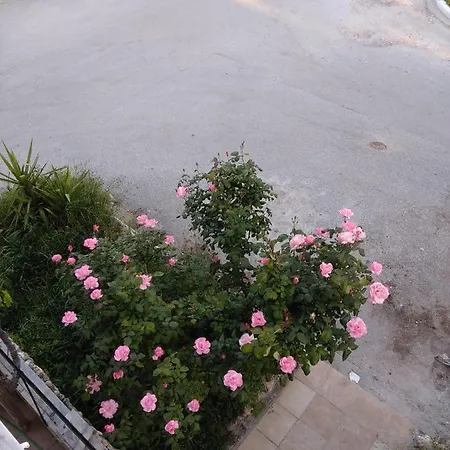 Appartamento Angel's House
